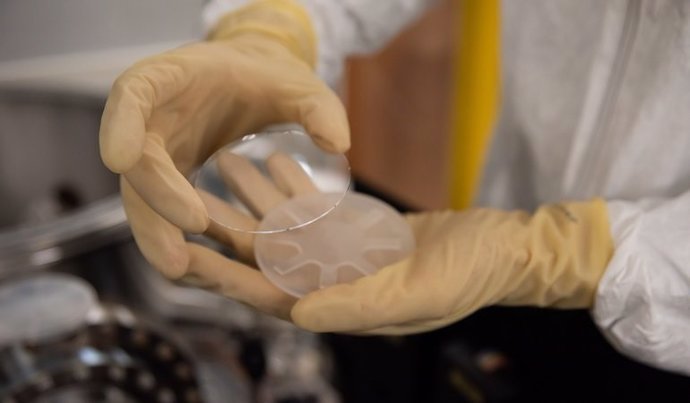 Los investigadores prueban los revestimientos de los espejos LIGO depositándolos en discos de vidrio que son más pequeños que los espejos reales y, por lo tanto, más fáciles de manejar. Uno de esos discos de prueba se muestra aquí sacando de su contened