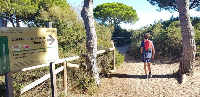Parque Metropolitano Marisma de los Toruños y Pinar de la Algaida.