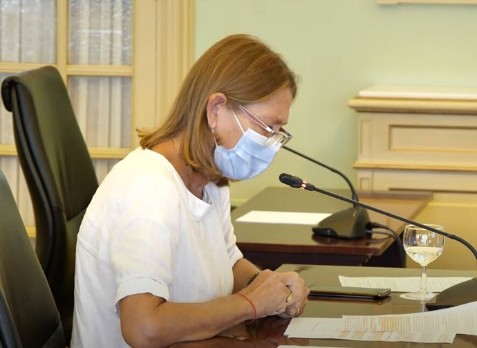 La diputada del PP Virginia Marí, en la Comisión de Economía.