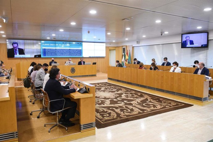 Pleno de la Diputación de Sevilla