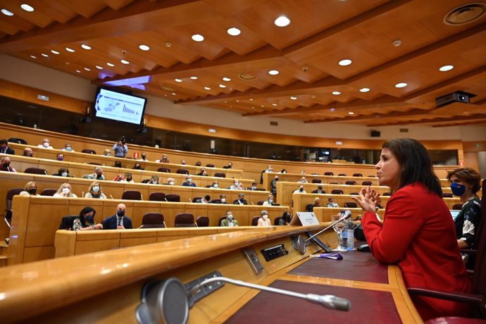 Elena Bernárdez, directora de movilidad eléctrica de Endesa X, en su intervención en el Senado