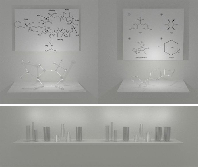 'Ecologías Fragmentadas', De Esther Pizarro, Se Desarrollará En 2022