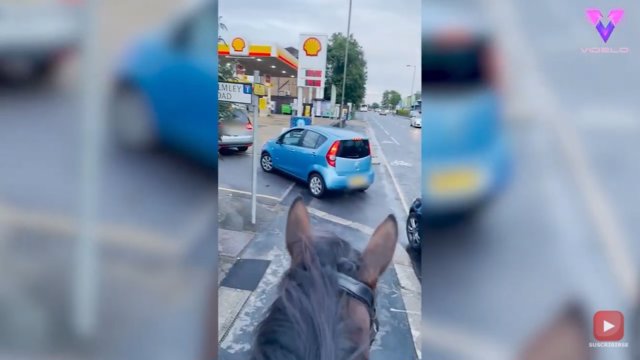 En plena crisis de la gasolina en Reino Unido, un hombre sale en caballo a cantar a la gente que hace cola para repostar