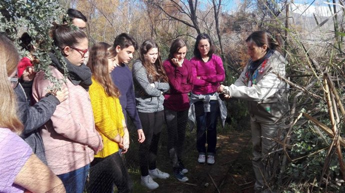 Actividades con motivos del Día Mundial de las Aves.