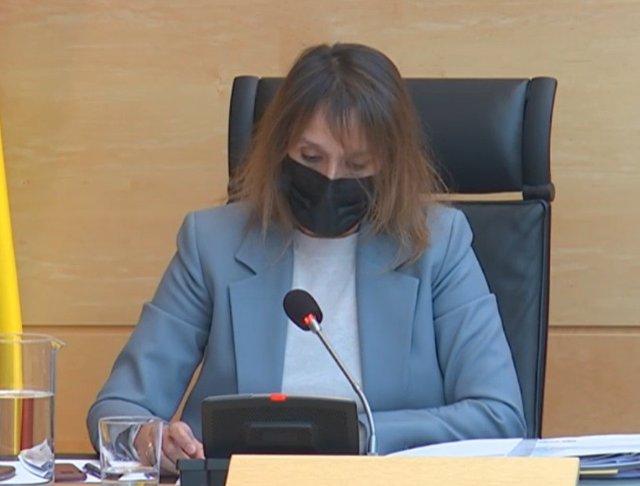 Rocío Luicas, durante su comparecencia en las Cortes para rendir cuentas de lo realizado en los dos primeros años de legislatura.