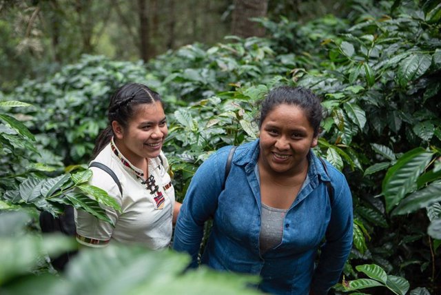 Trabajadoras de la cooperativa de mujeres productoras de café en Guatemala 