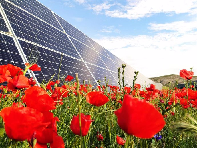 Parque fotovoltaico de Solaria.