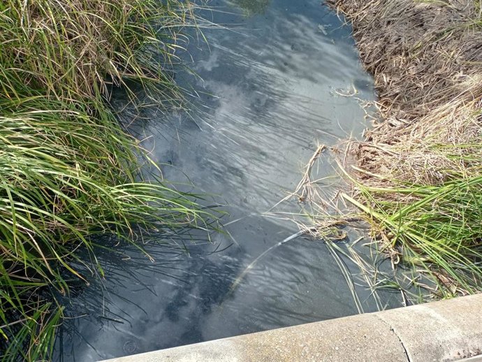 Archivo - Imagen de archivo de un arroyo