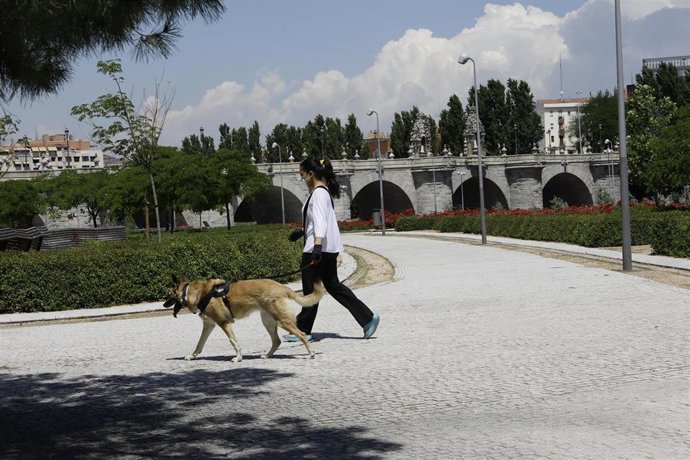 Archivo - Una mujer pasea con su perro por Madrid Río, abierto en la fase 1 de la desescalada, cuya entrada supone la apertura de los grandes parques de Madrid, que permanecían cerrados para evitar aglomeraciones, y que se suman a los recintos de distri