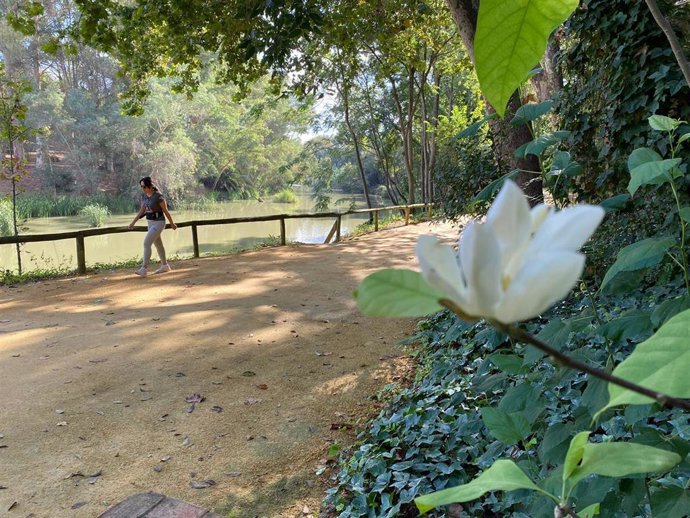 El Ayuntamiento de Alcalá de Guadaíra prosigue con la repoblación de árboles y arbustos de especies autóctonas en las Riberas del Guadaíra.