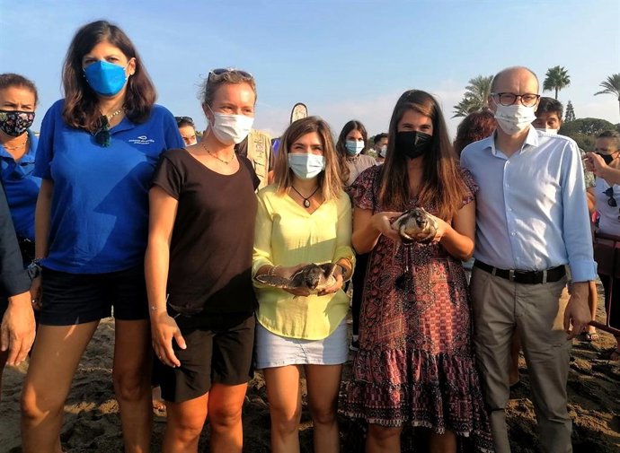 Suelta de tortugas bobas