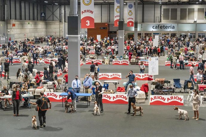 100X100 Mascota 2021