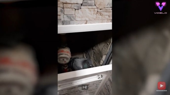 Una pareja se encuentra una paloma atrapada en las cañerías de su baño y consiguen liberarla