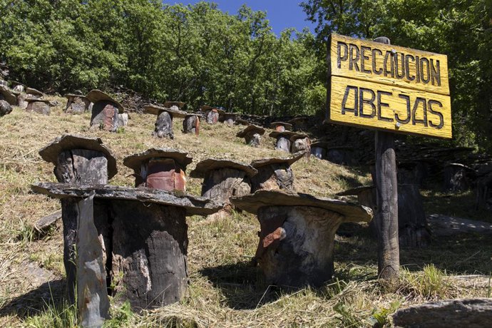 Archivo - Una señal de aviso de abejas en el término municipal de La Hiruela, a 8 de junio de 2021, en La Hiruela, Madrid, (España). La Hiruela, considerado uno de los pueblos más bonitos de la Sierra de Madrid y mejor conservados, se encuentra situado 
