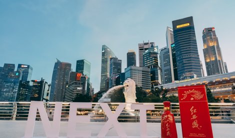 Comunicados Internacional