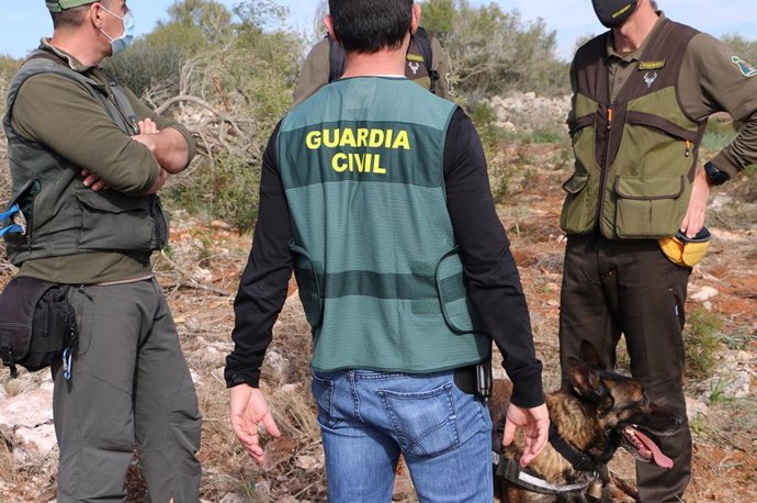 Archivo - La Guardia Civil con la colaboración de Agentes de Medio Ambiente investiga a un hombre por un delito contra los recursos naturales en Llucmajor