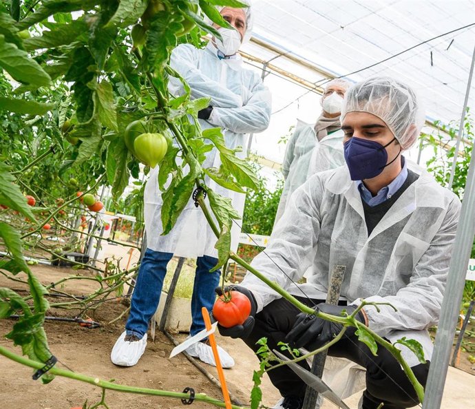 Archivo - La agricultura de Almería "volverá a demostrar su fuerza y liderazgo" en 'Fruit Attraction'.