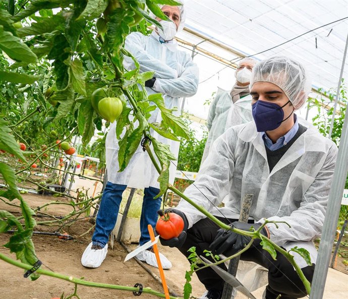 Archivo - La agricultura de Almería "volverá a demostrar su fuerza y liderazgo" en 'Fruit Attraction'.