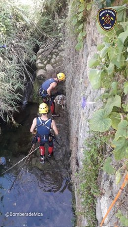 Rescate de un perro en el torrente de Fornalutx.