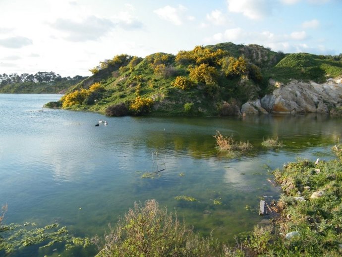 Adelante insta a Junta a incluir la laguna de la Huerta de las Pilas en el Inventario de Humedales de Andalucía