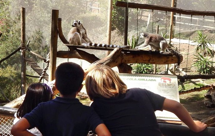 Archivo - Niños visitan Selwo Aventura, en Estepona, donde disfrutan de los animales y del conocimiento de sus hábitats y peculiaridades