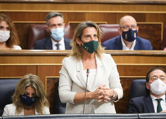La vicepresdenta tercera del Gobierno y ministra para la Transición Ecológica y el Reto Demográfico, Teresa Ribera, en una sesión de control en el Congreso