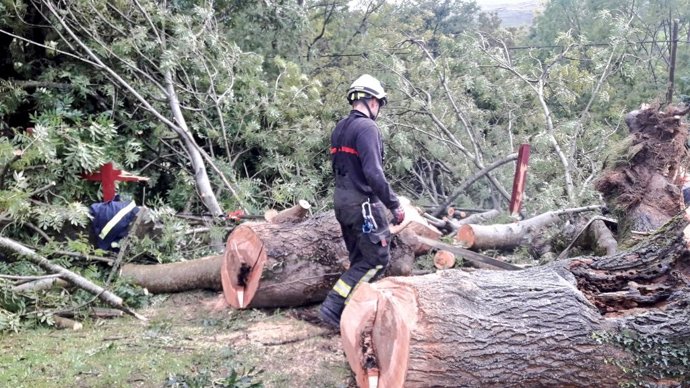 El 112 interviene en una incidencia de árboles caídos por el viento.