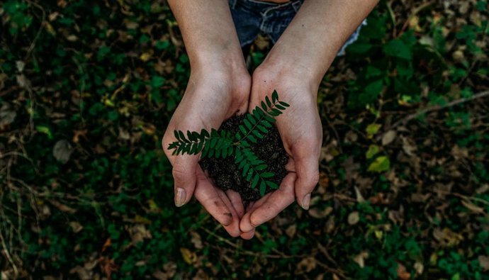 Archivo - La Fundación Biodiversidad destinará 9,4 millones a proyectos de formación e inserción laboral para desempleados