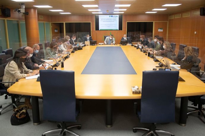 Comparecencia de Lezeartua en el Parlamento