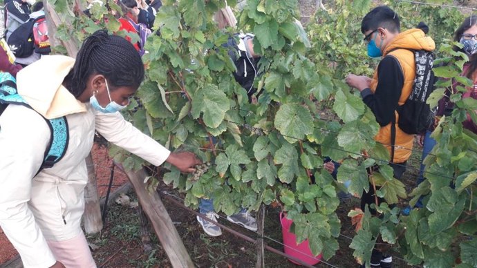 El alcalde de Logroño acompaña a escolares que participan en el programa 'Semana de la Vendimia'
