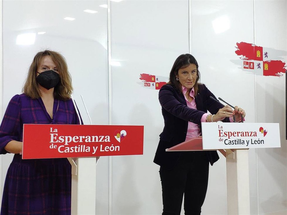 Paro.-PSCyL cree que se evidencia el "éxito" de políticas del Gobierno y los modelos "antagónicos" de atajar la crisis
