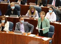 El PSOE-M tacha de "mal mensaje para la ciudadanía" que Carmona decida ser vicepresidente de Iberdrola