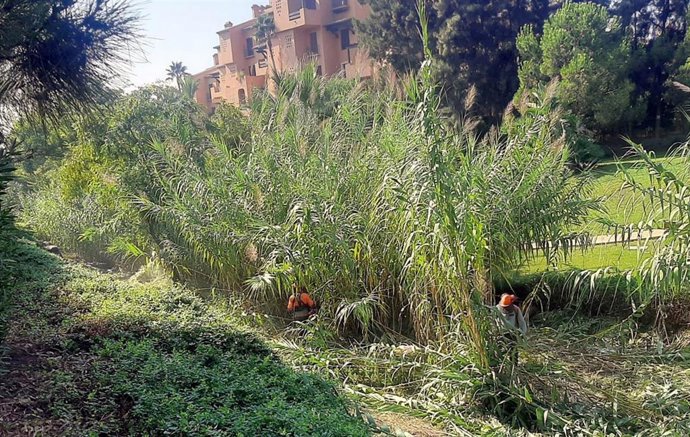 El Ayuntamiento de Estepona ejecuta un plan especial de desbroce de arroyos para prevenir inundaciones