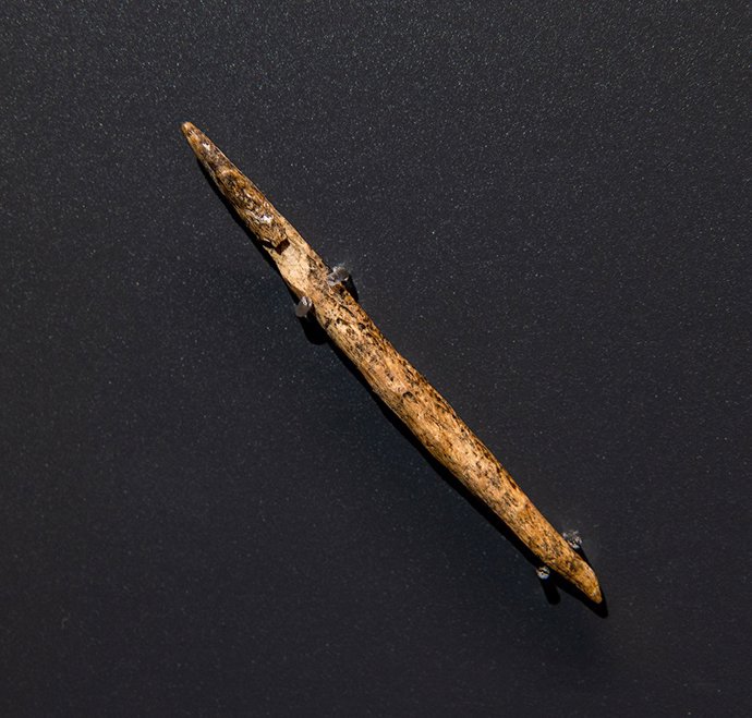 Anzuelo localizado en el Abrigo de la Peña del Perro, en Santoña.