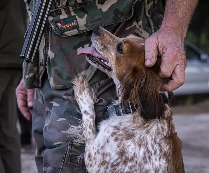 Archivo - Un cazador acaricia a su perro el primer día de inicio de la media veda en Castilla y León, en Olmedo.