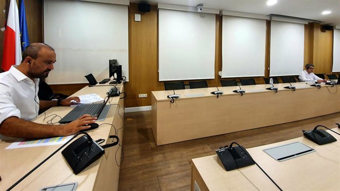 Javier López Estrada y Pedro Pérez Noriega durante el Pleno telemático