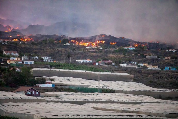 Vistas del volcán Cumbre Vieja expulsando lava y piroclasto, tomadas desde la montaña de La Lagunas donde hay invernaderos de plátanos, a 28 de septiembre en Las Manchas, La Palma, Santa Cruz de Tenerife, Canarias (España). Tras varias horas de inactivi