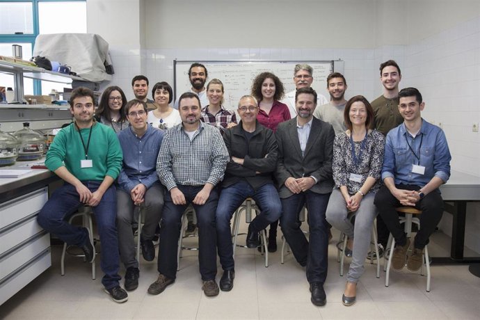 Archivo - Investigadores de la UJI