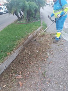 Trabajos de limpieza de hierbas en las calles de Palma.