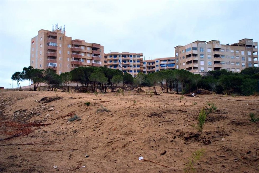 Arenal recuperado en el Monte Blanco de La Manga