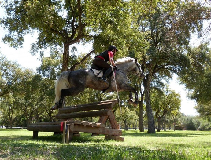 Gran Semana del Caballo Anglo-Árabe en el Parque del Alamillo de Sevilla.