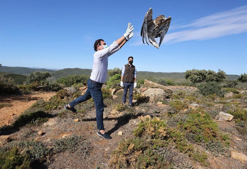 Daniel Sánchez soltando uno de los buitres liberados.