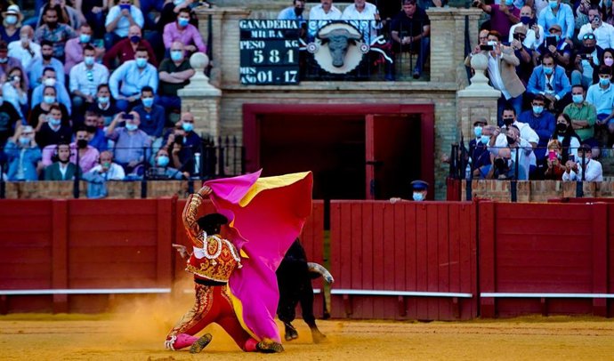 El torero Manuel Escriba,  recibe a su segundo toro a puerta gayola en el 14 festejo de la Feria de San Miguel a 03 de octubre del 2021 en la Real Maestranza de Caballería de Sevilla (Andalucía).Festejo n 13 de la Feria de San Miguel donde el cartel h