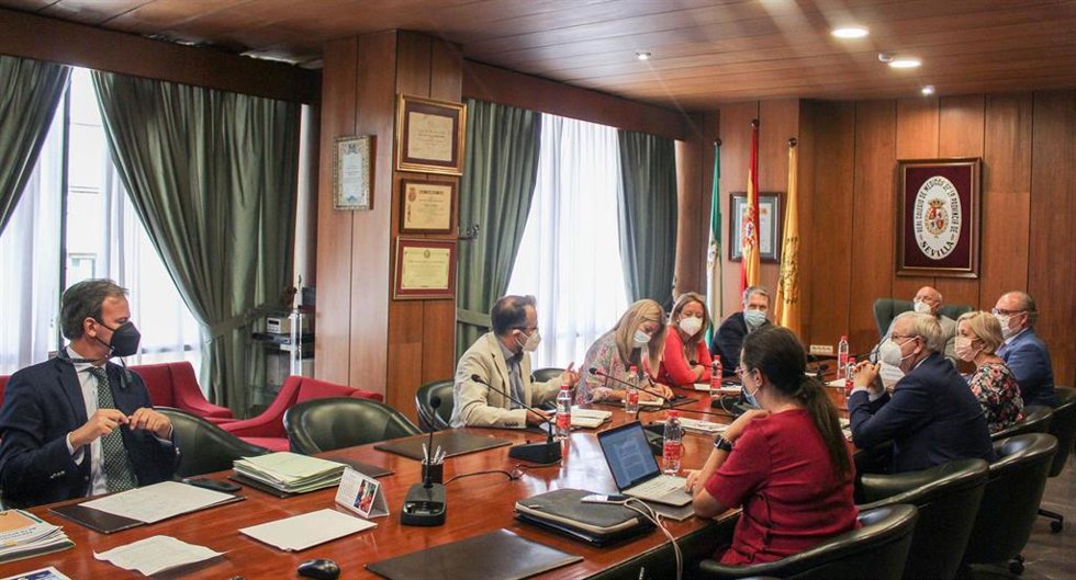 El Consejo Andaluz de Colegios de Médicos plantea reivindicaciones esenciales para la atención primaria.