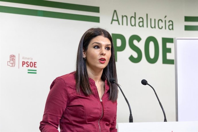 Archivo - La diputada del PSOE en la Comisión de Educación del Parlamento de Andalucía, Noemí Cruz.