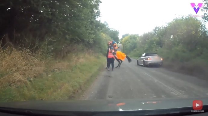 Este es el momento en que un BMW pasa a toda velocidad cerca de un caballo que tenía como jinete a una niña de 11 años
