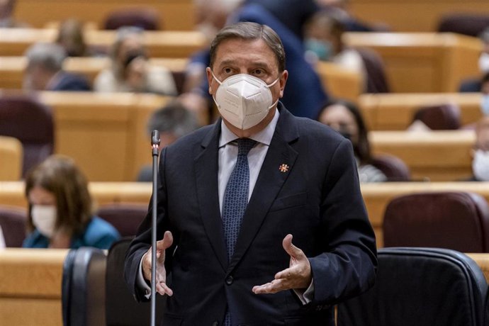 El ministro de Agricultura, Pesca y Alimentación, Luis Planas, en el pleno del Senado