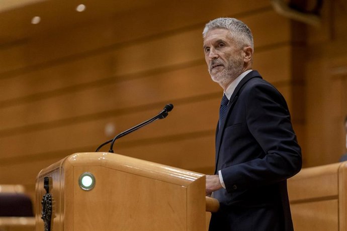 El ministro de Interior, Fernando Grande-Marlaska, interviene en una sesión de control al Gobierno en el Senado