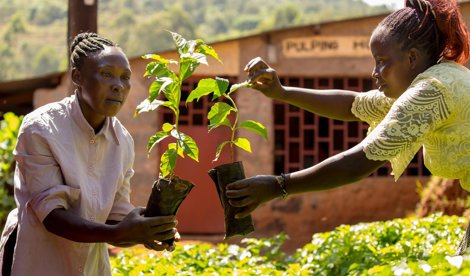 Comunicados Internacional