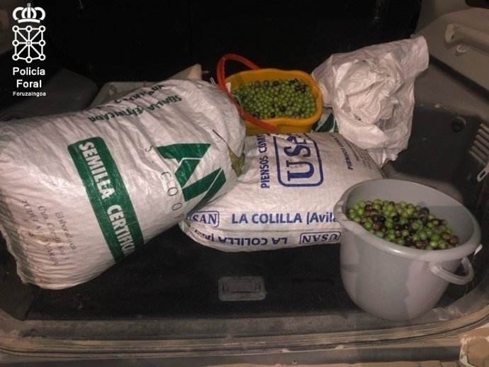 Material incautado en el interior de la furgoneta.